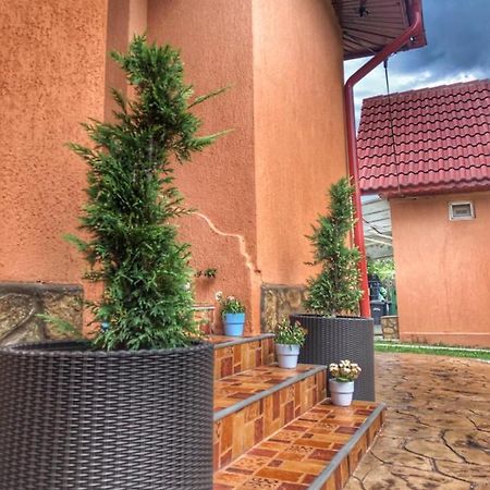Casa Andra Hotel Baia de Fier Exterior photo