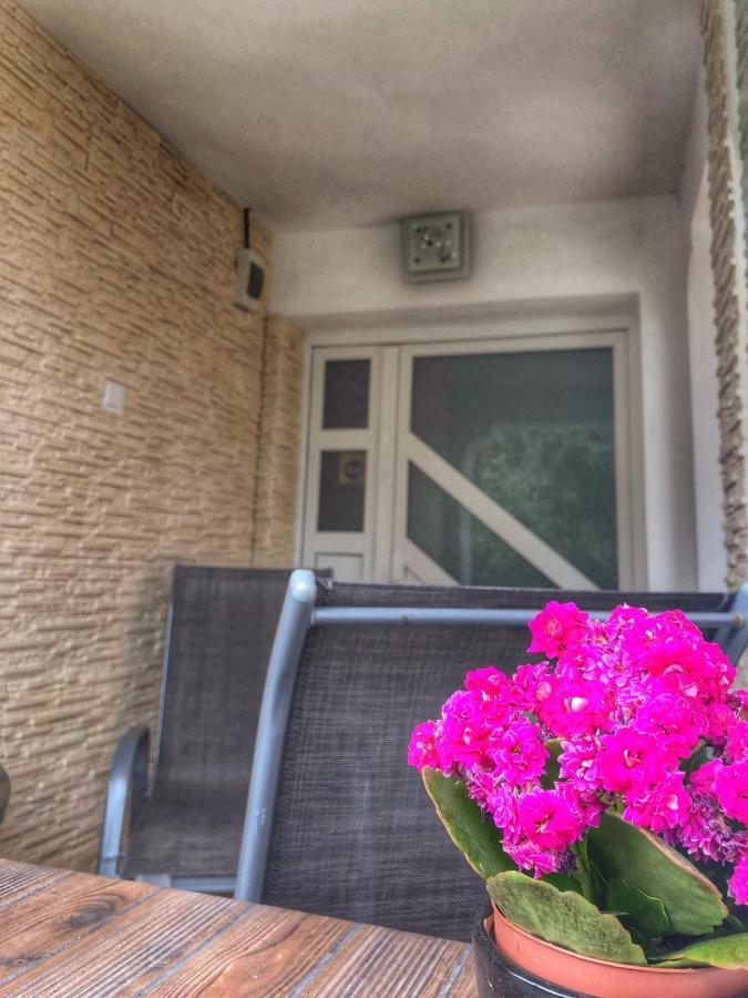 Casa Andra Hotel Baia de Fier Exterior photo